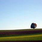 Herbstliches Emmental