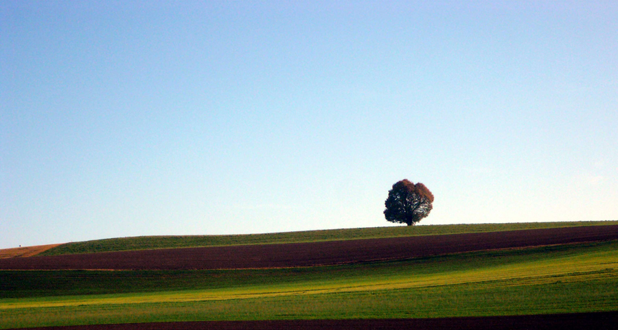 Herbstliches Emmental