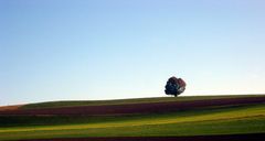 Herbstliches Emmental