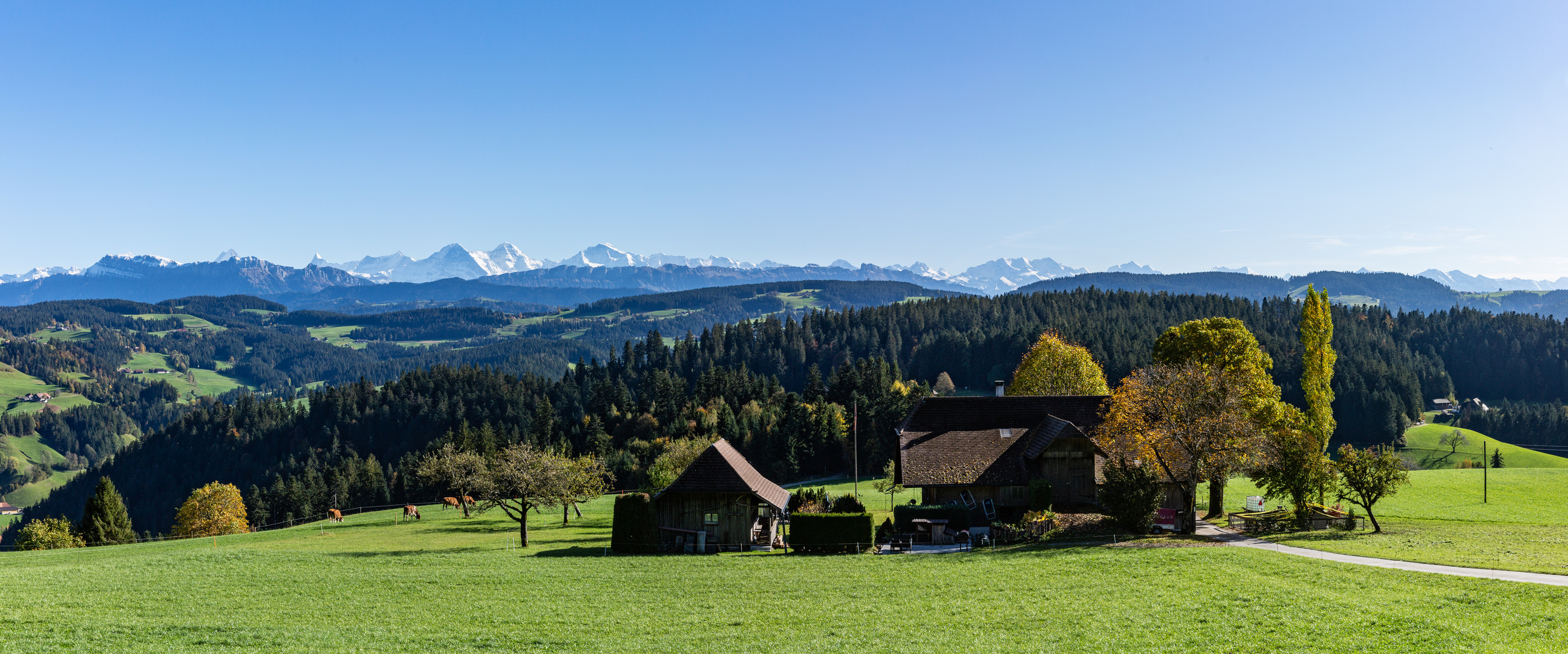 Herbstliches Emmental und die Berner Alpen (1)