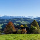 Herbstliches Emmental und die Berner Alpen (2)