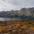 herbstliches Engadin