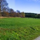 herbstliches Erzgebirge 2