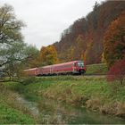 Herbstliches Farbenfeuerwerk