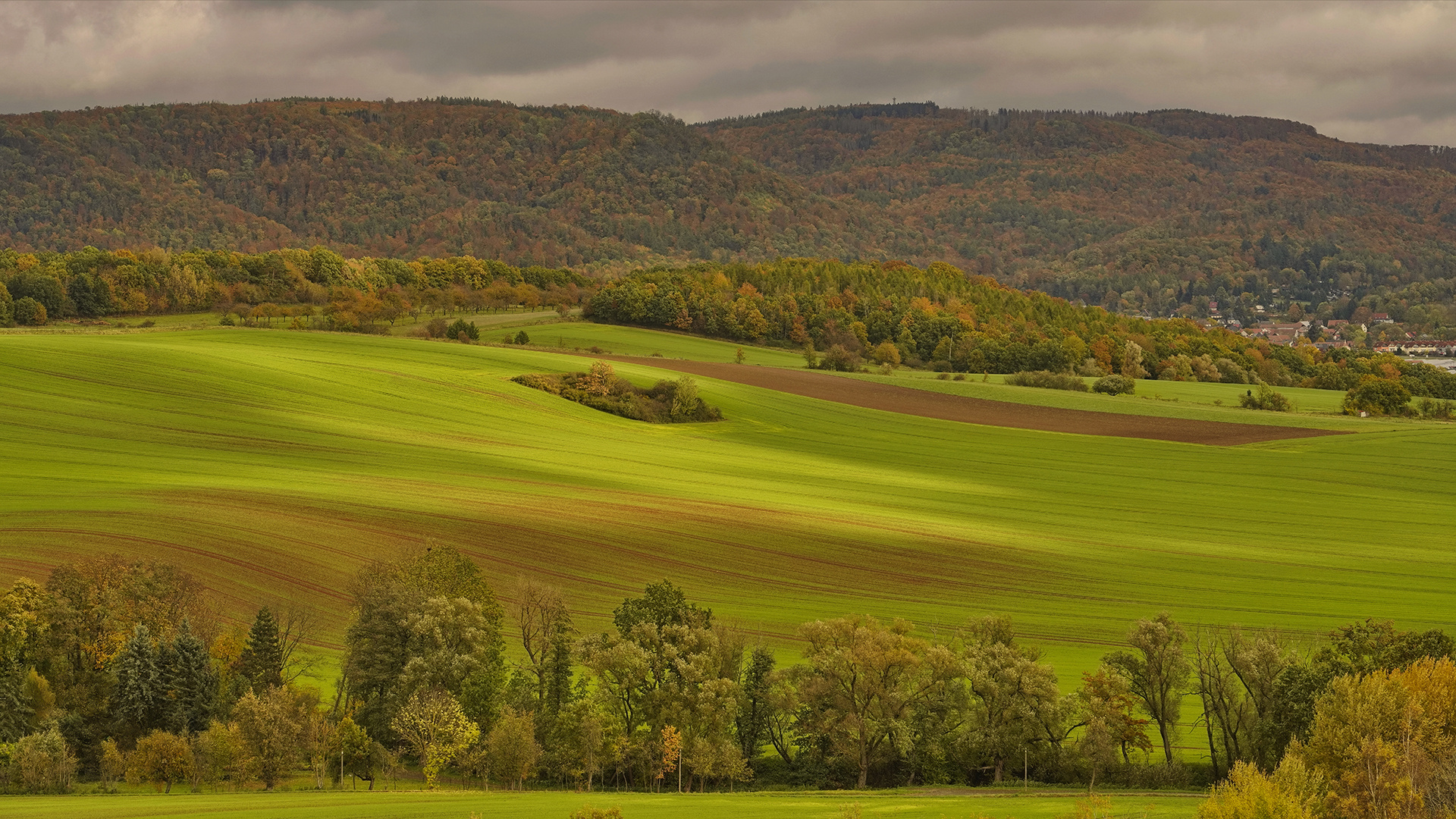 herbstliches Farbenmeer im Südharz