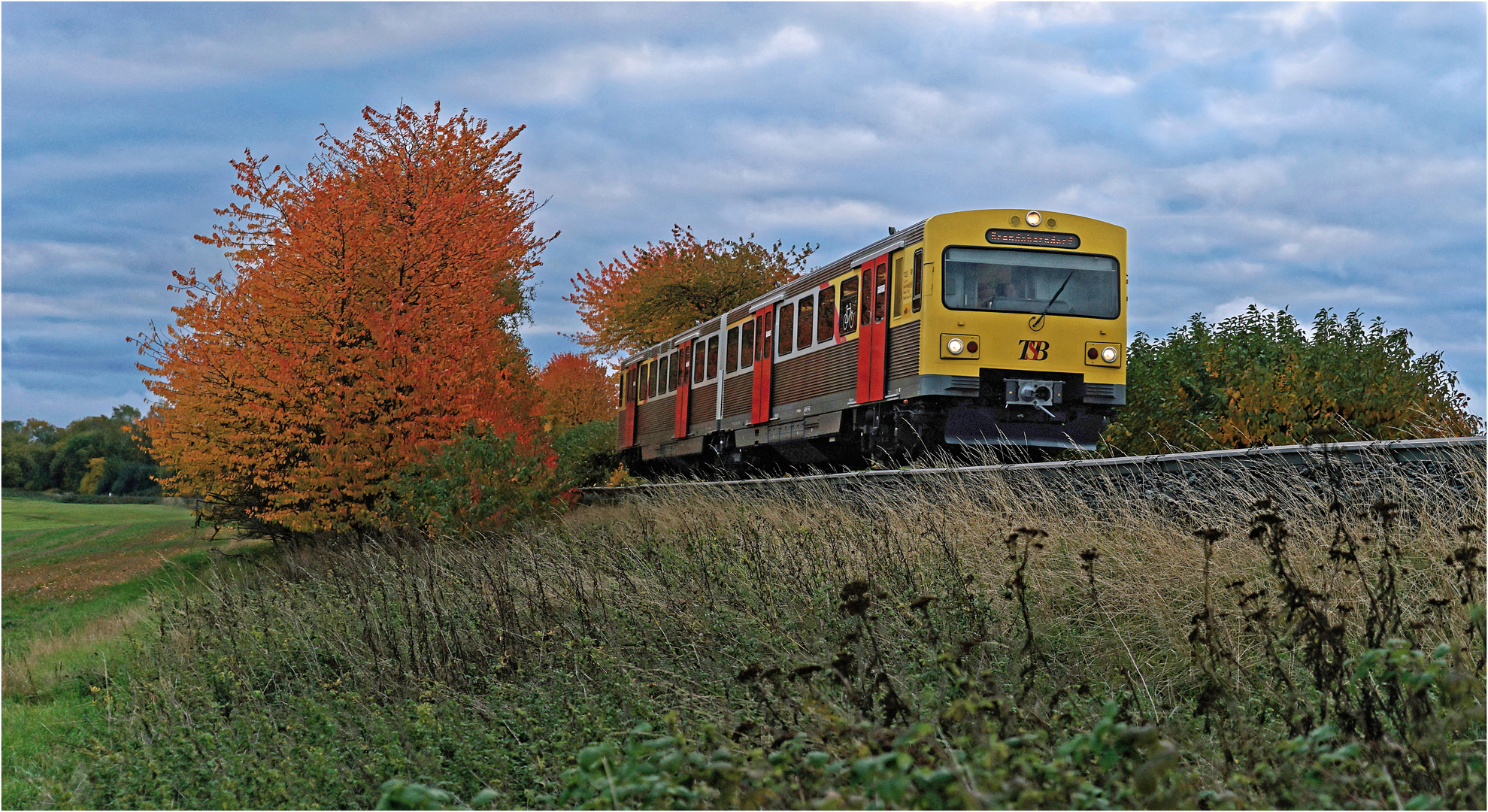 Herbstliches Farbenspektakel 2