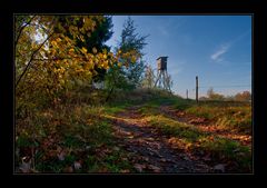 herbstliches Farbenspiel