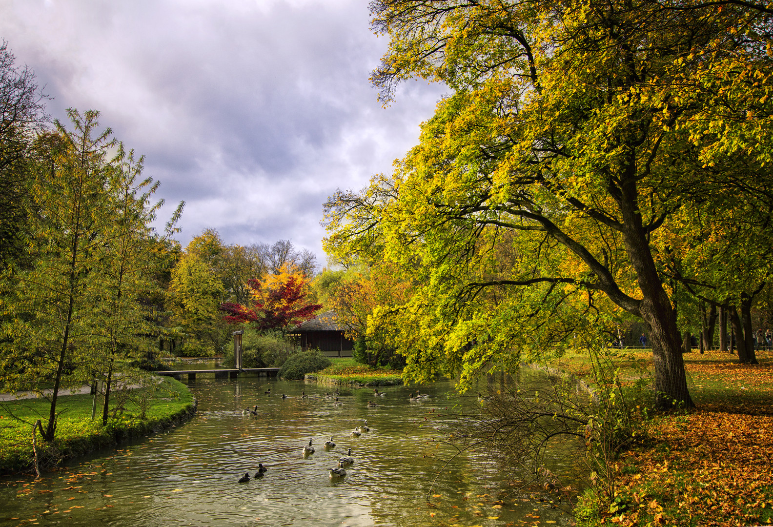 Herbstliches Farbenspiel