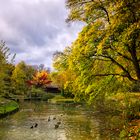 Herbstliches Farbenspiel