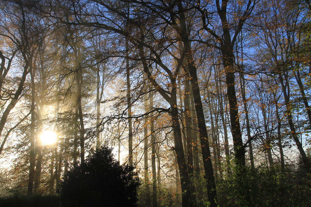 Herbstliches Farbenspiel