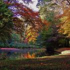 Herbstliches Farbenspiel