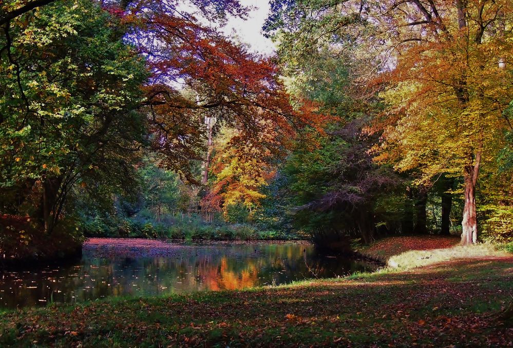 Herbstliches Farbenspiel