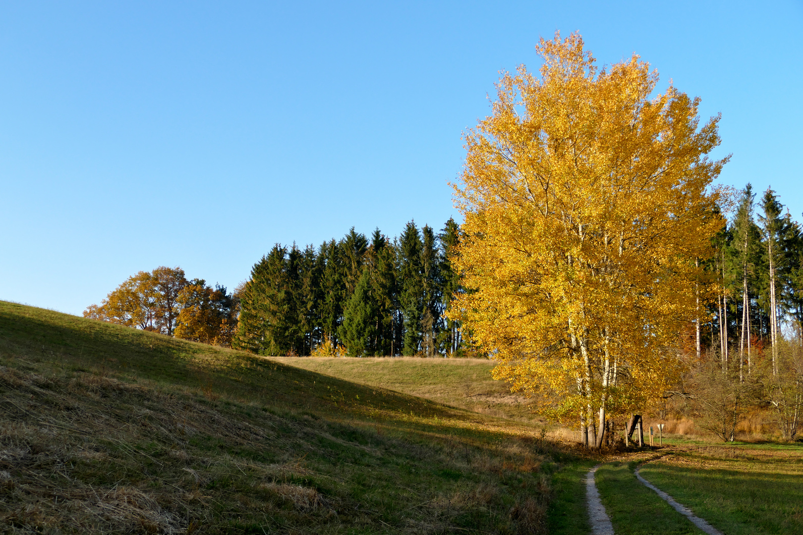 Herbstliches Farbenspiel...