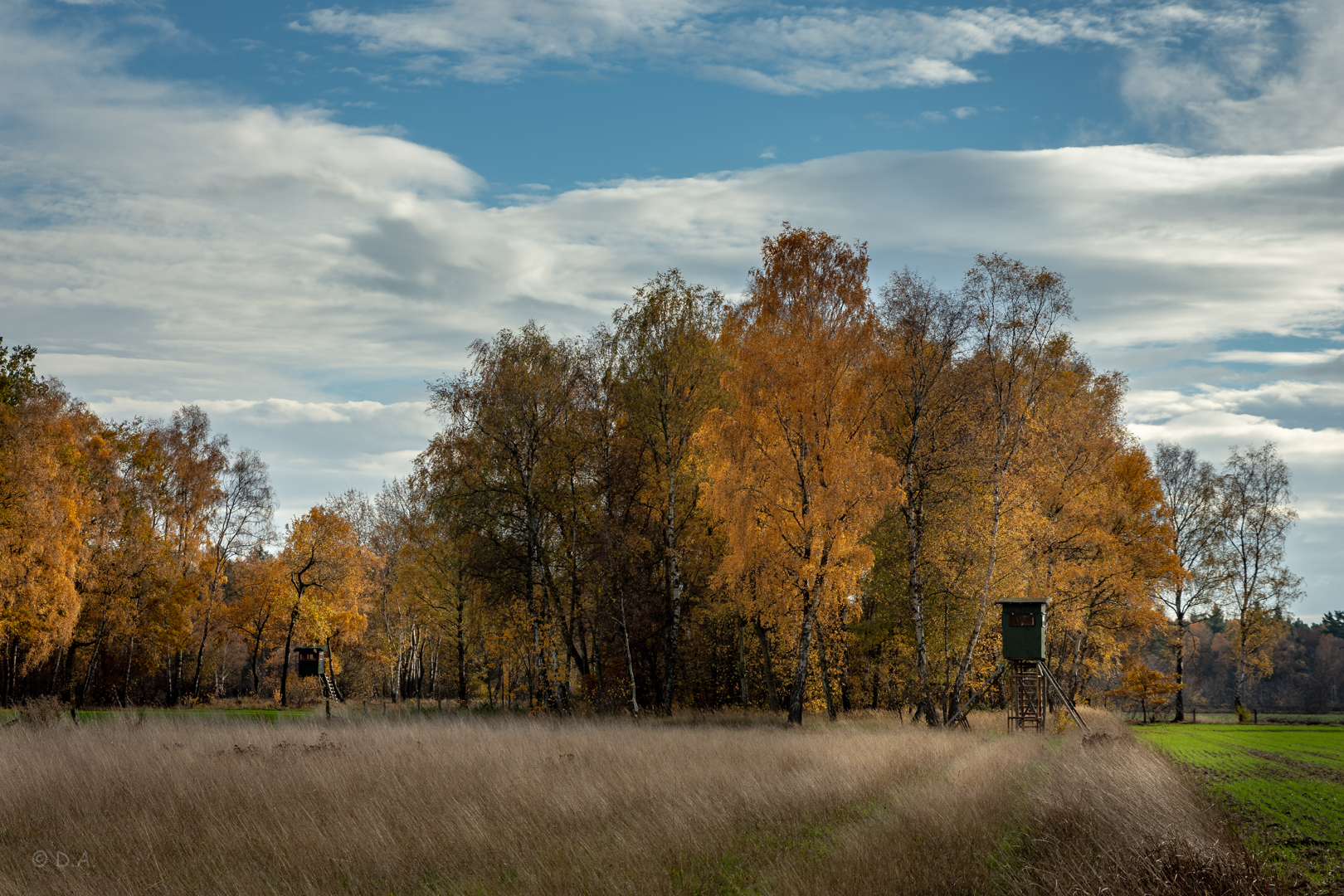 herbstliches Farbenspiel