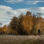 herbstliches Farbenspiel