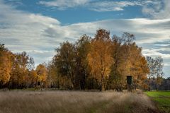 herbstliches Farbenspiel