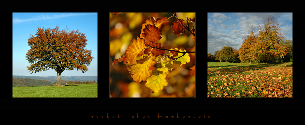 herbstliches Farbenspiel ...