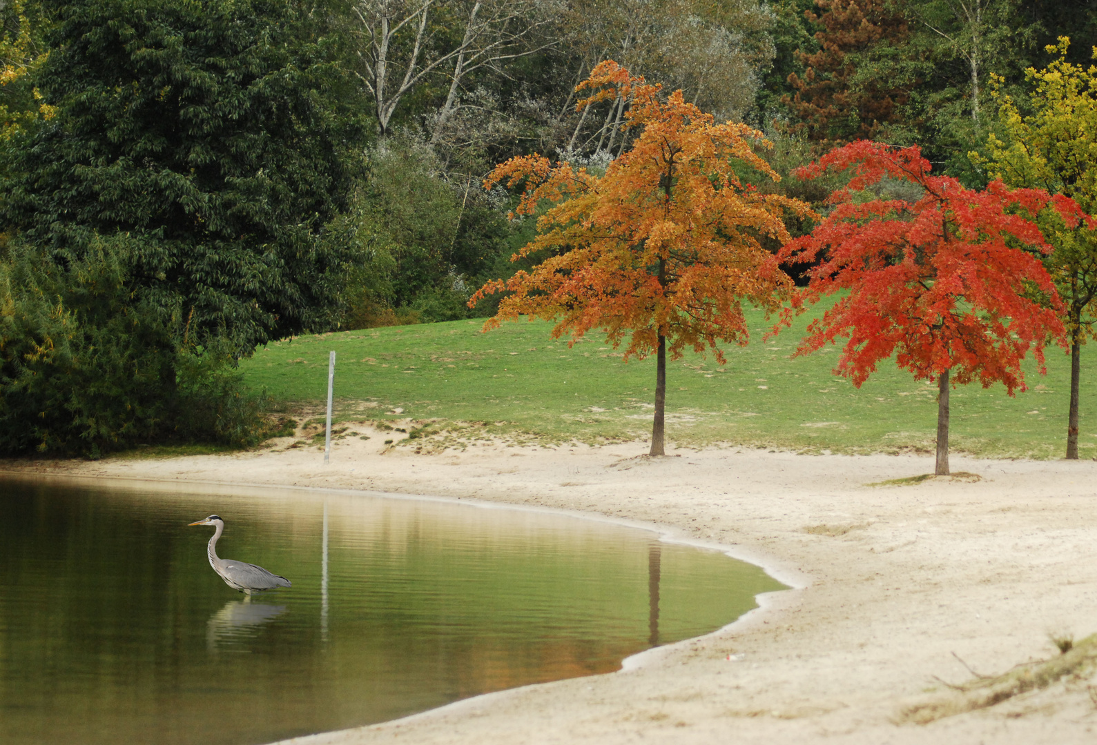 Herbstliches Farbenspiel