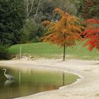 Herbstliches Farbenspiel