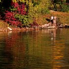 herbstliches Farbenspiel