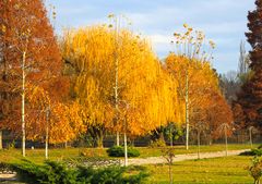 Herbstliches Farbenspiel