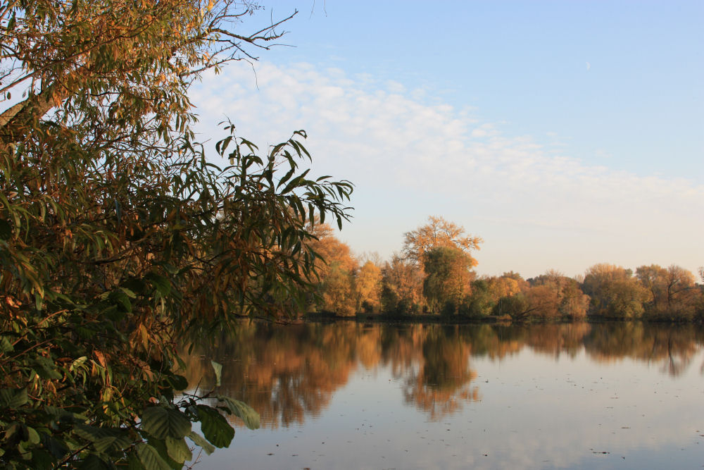 Herbstliches Farbenspiel am See