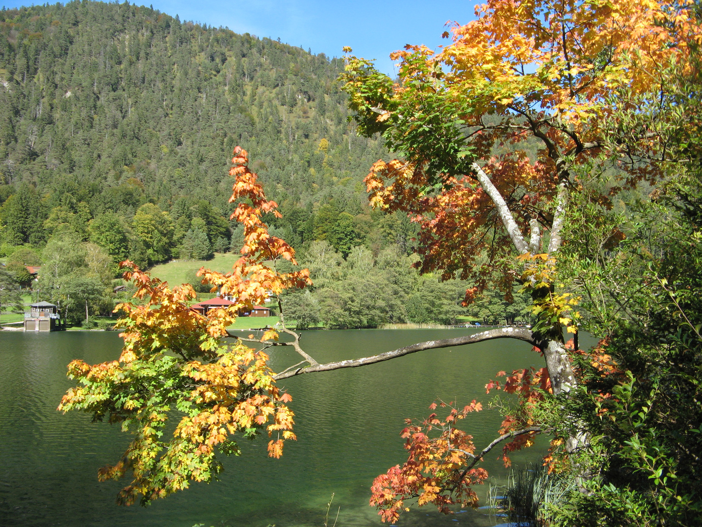 herbstliches Farbenspiel am Thumsee