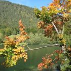 herbstliches Farbenspiel am Thumsee