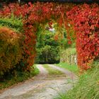 Herbstliches Farbenspiel