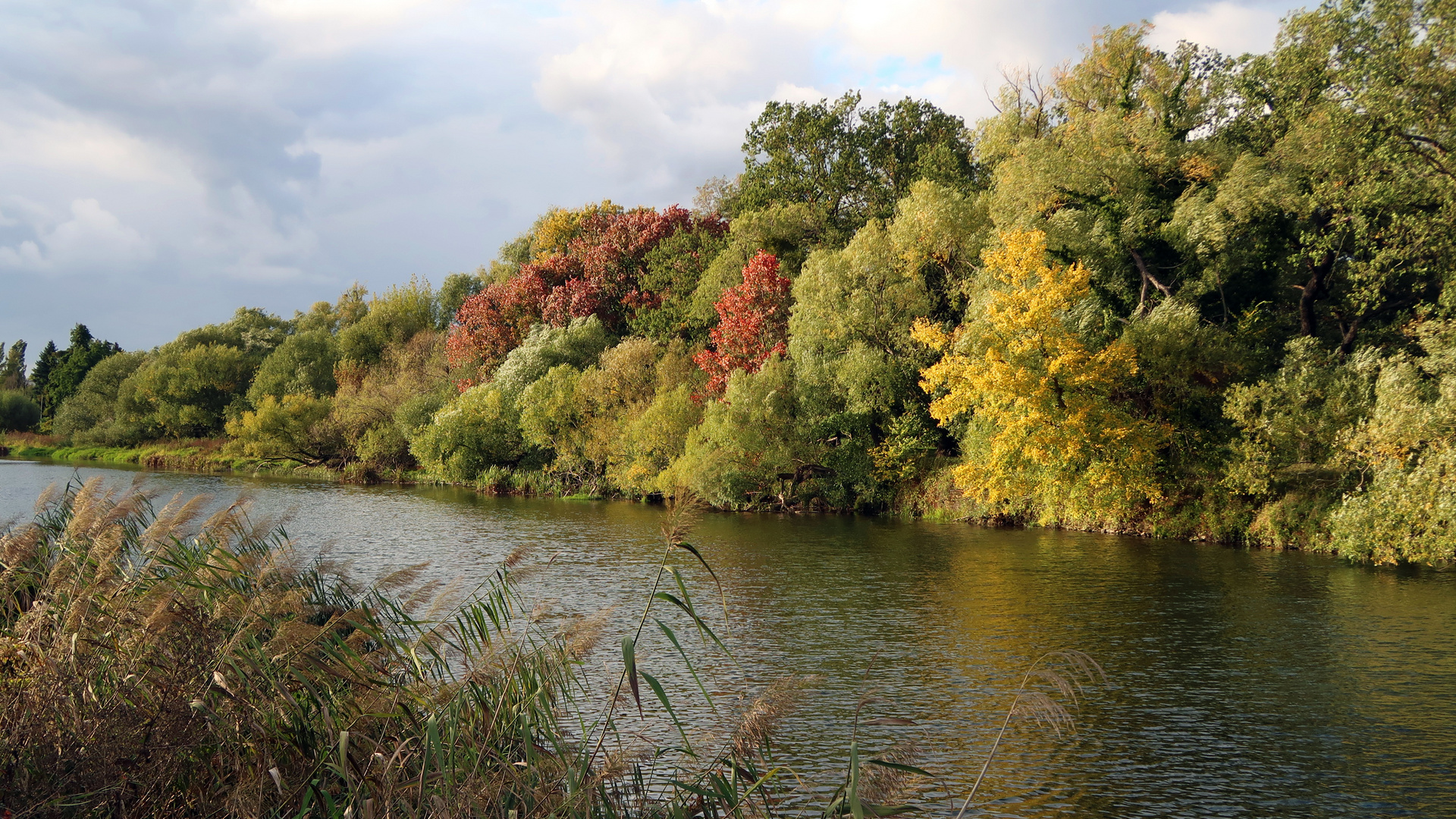 herbstliches Farbenspiel 