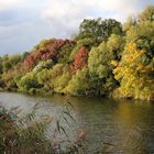 herbstliches Farbenspiel 