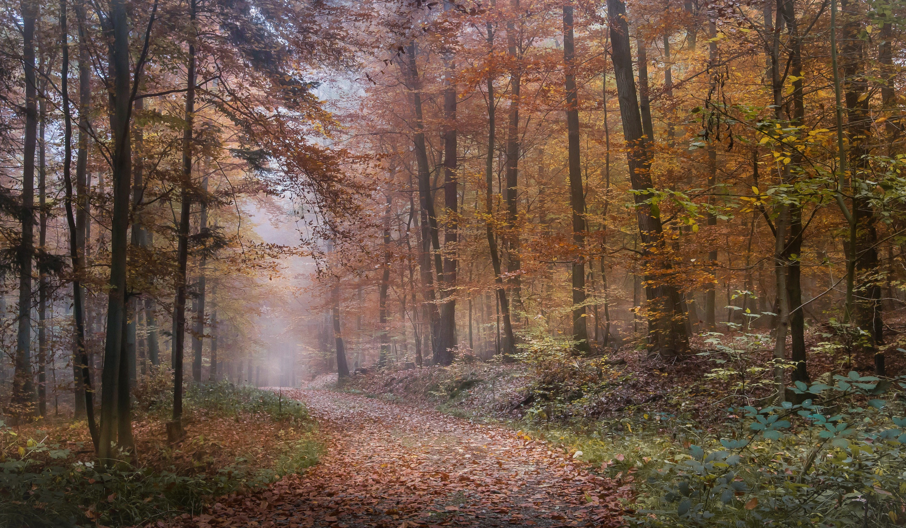 Herbstliches Farbenspiel