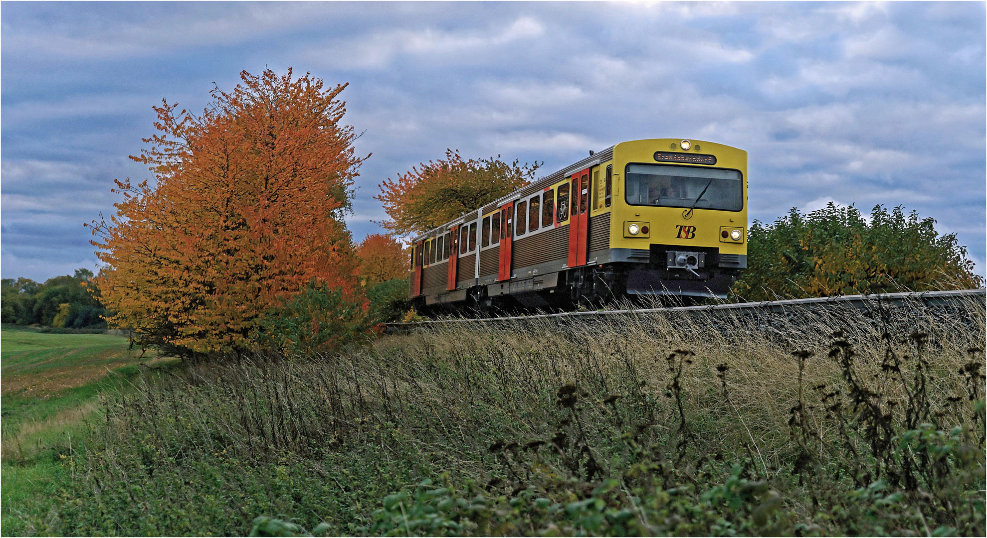 Herbstliches Farbenspiel 