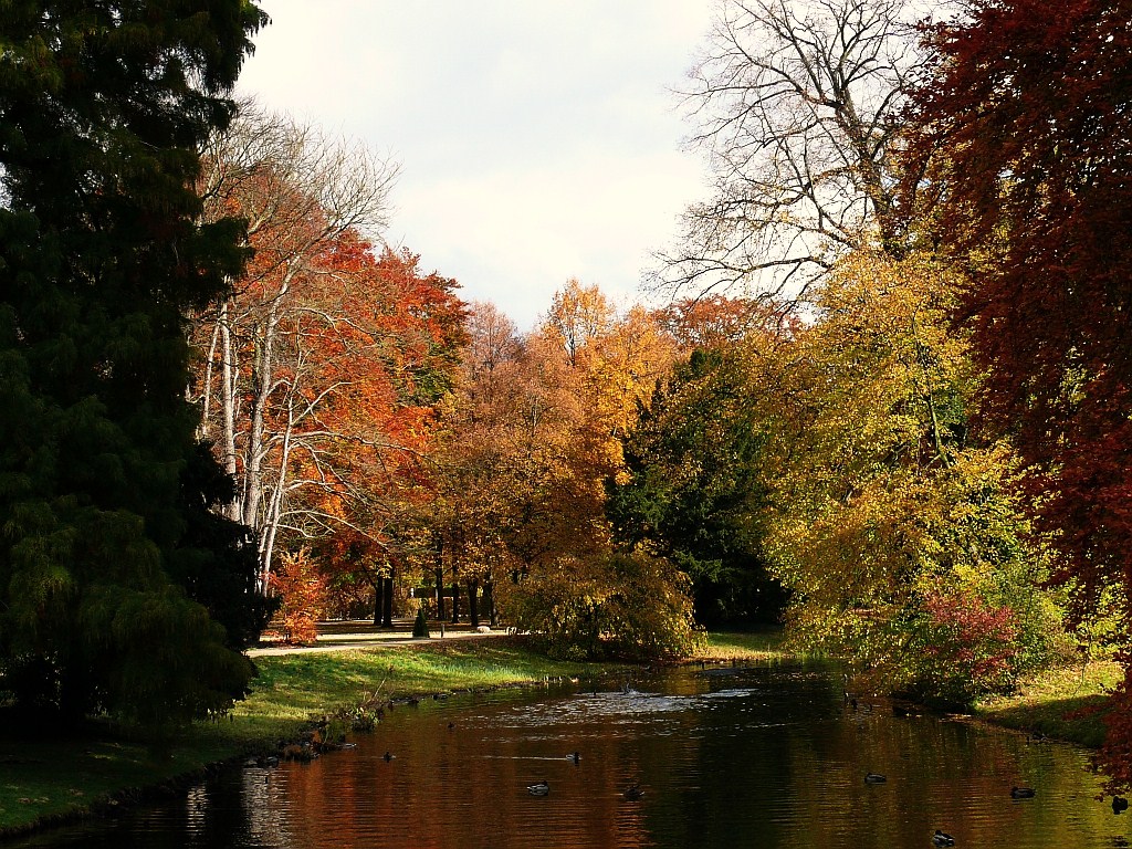 Herbstliches Farbenspiel im Schlosspark von Sanssouci