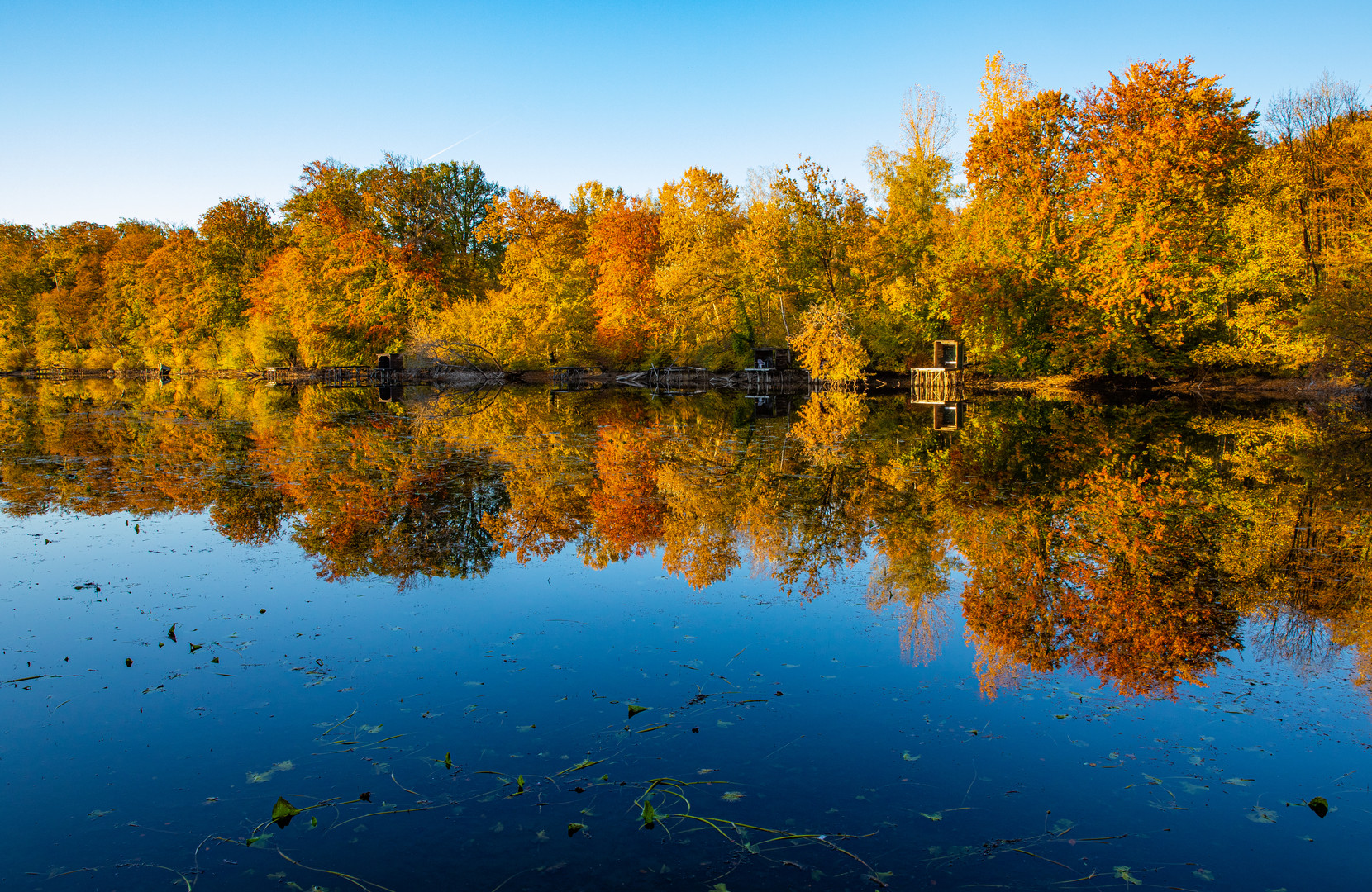 Herbstliches Farbspektakel