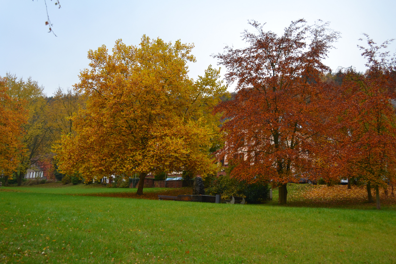 herbstliches Farbspiel