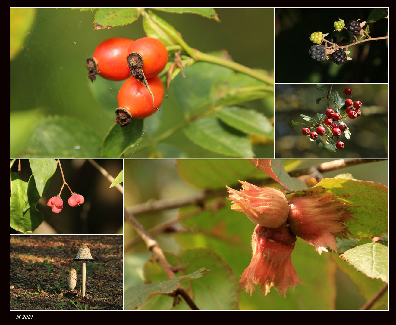 herbstliches