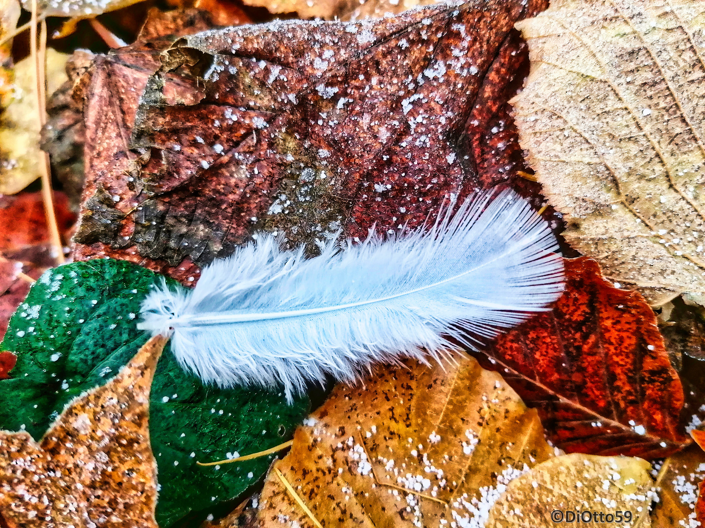 Herbstliches Federbett