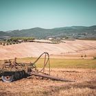 Herbstliches Feld