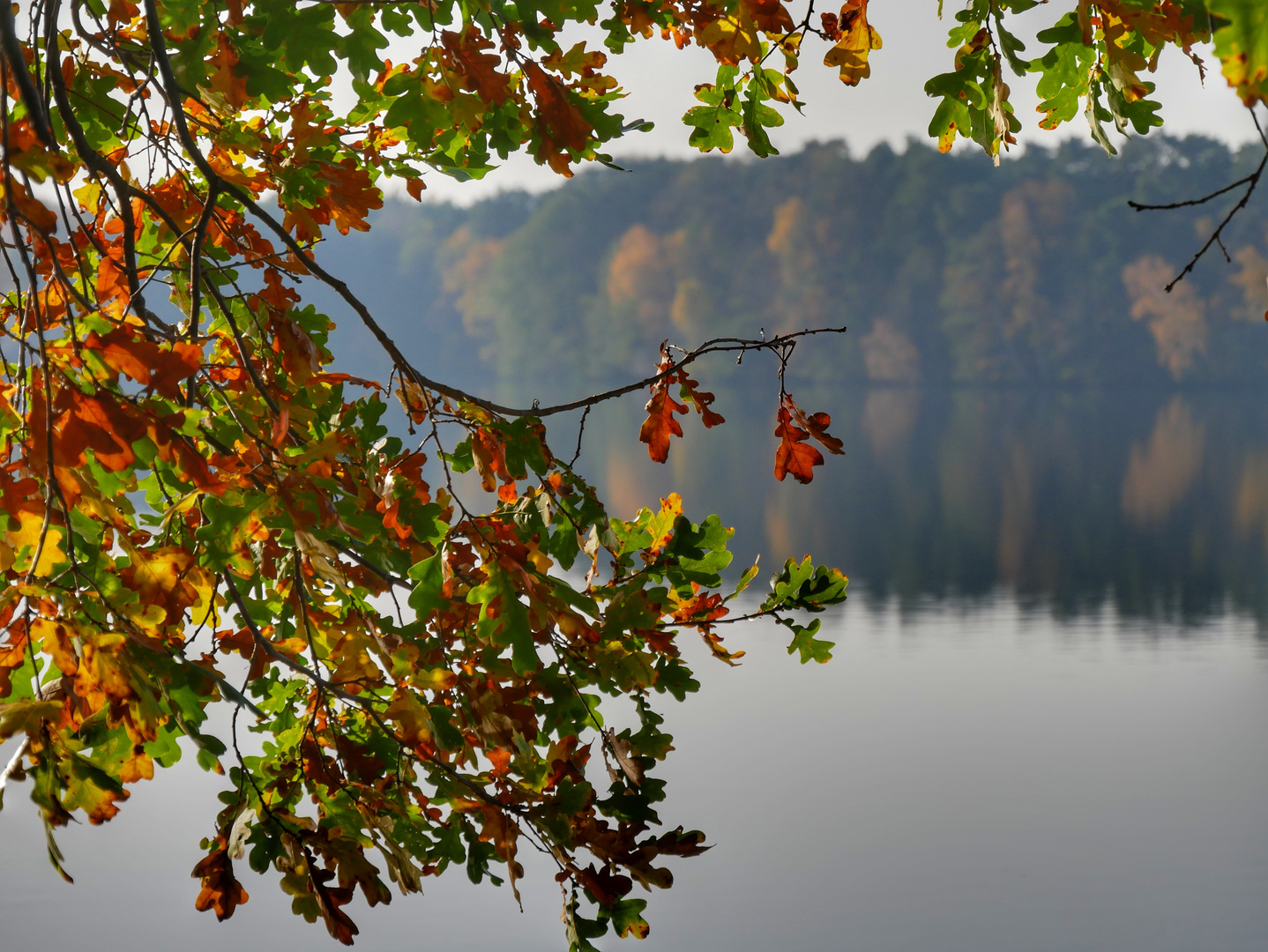 Herbstliches Fenster