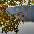 Herbstliches Fenster