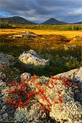 Herbstliches Fjell