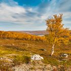 herbstliches Fjell bei Utsjoki