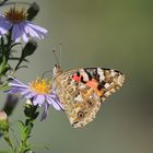 herbstliches Flair