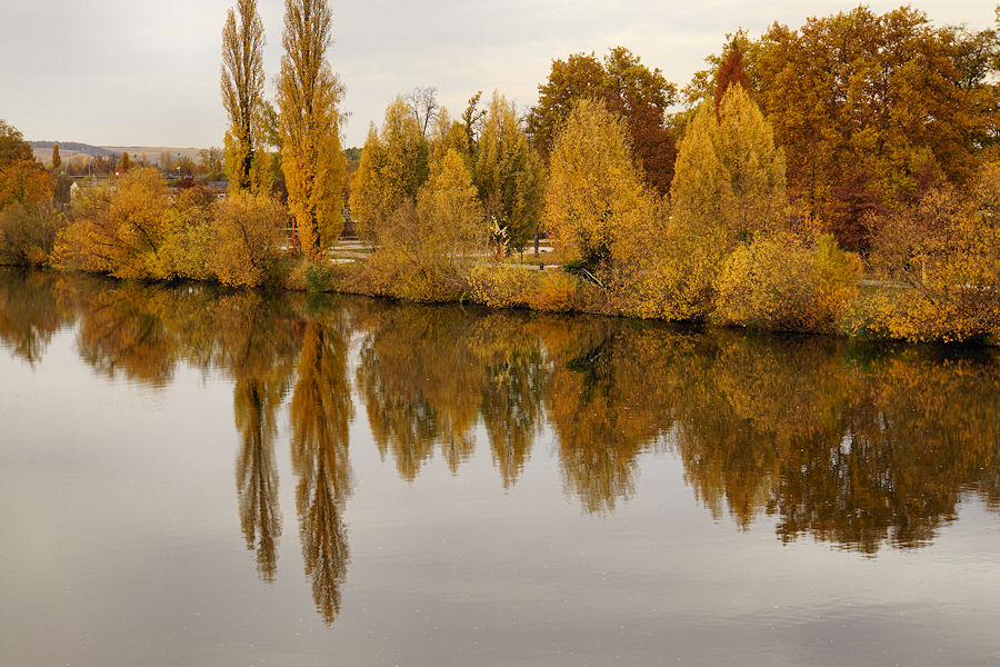 Herbstliches Flußufer