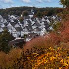 Herbstliches Freudenberg