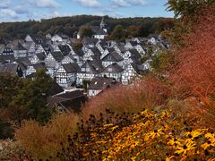 Herbstliches Freudenberg