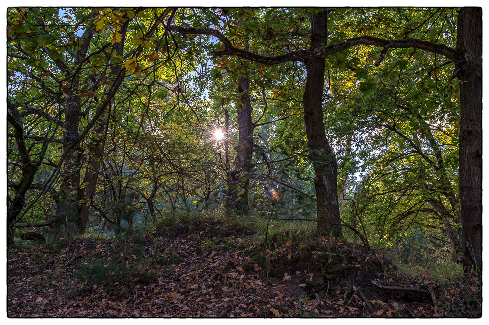 herbstliches Geleucht 1