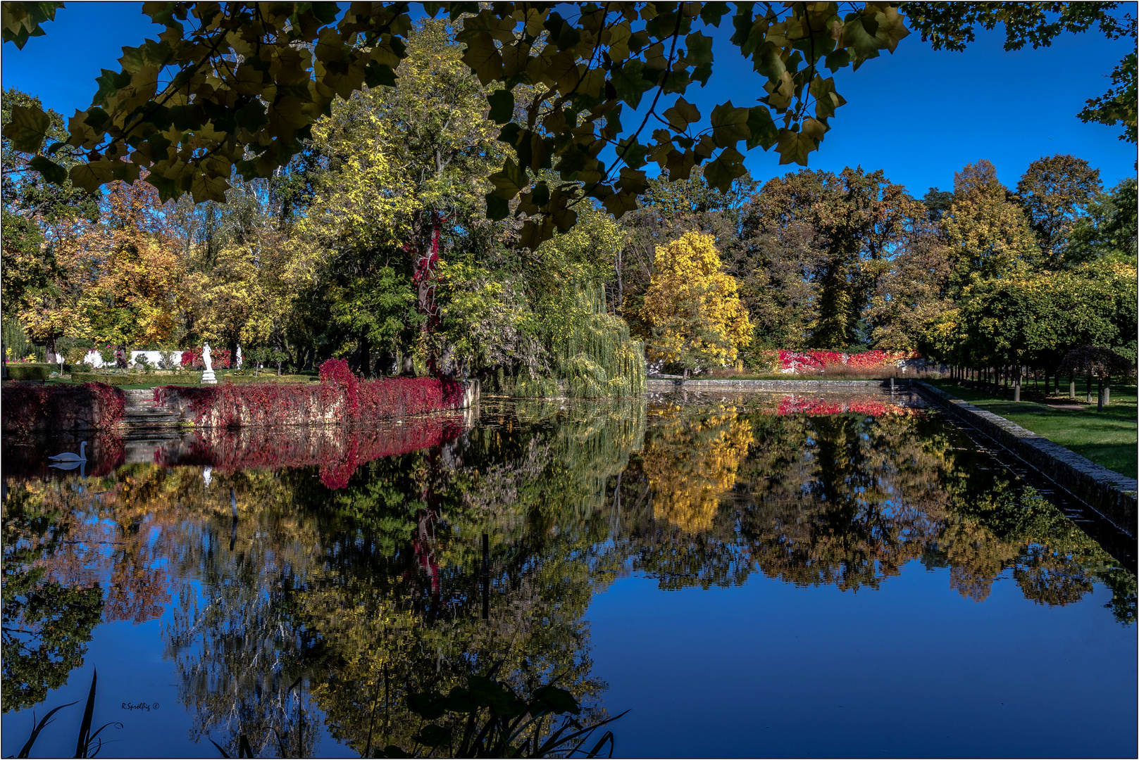 - herbstliches, gespiegeltes -