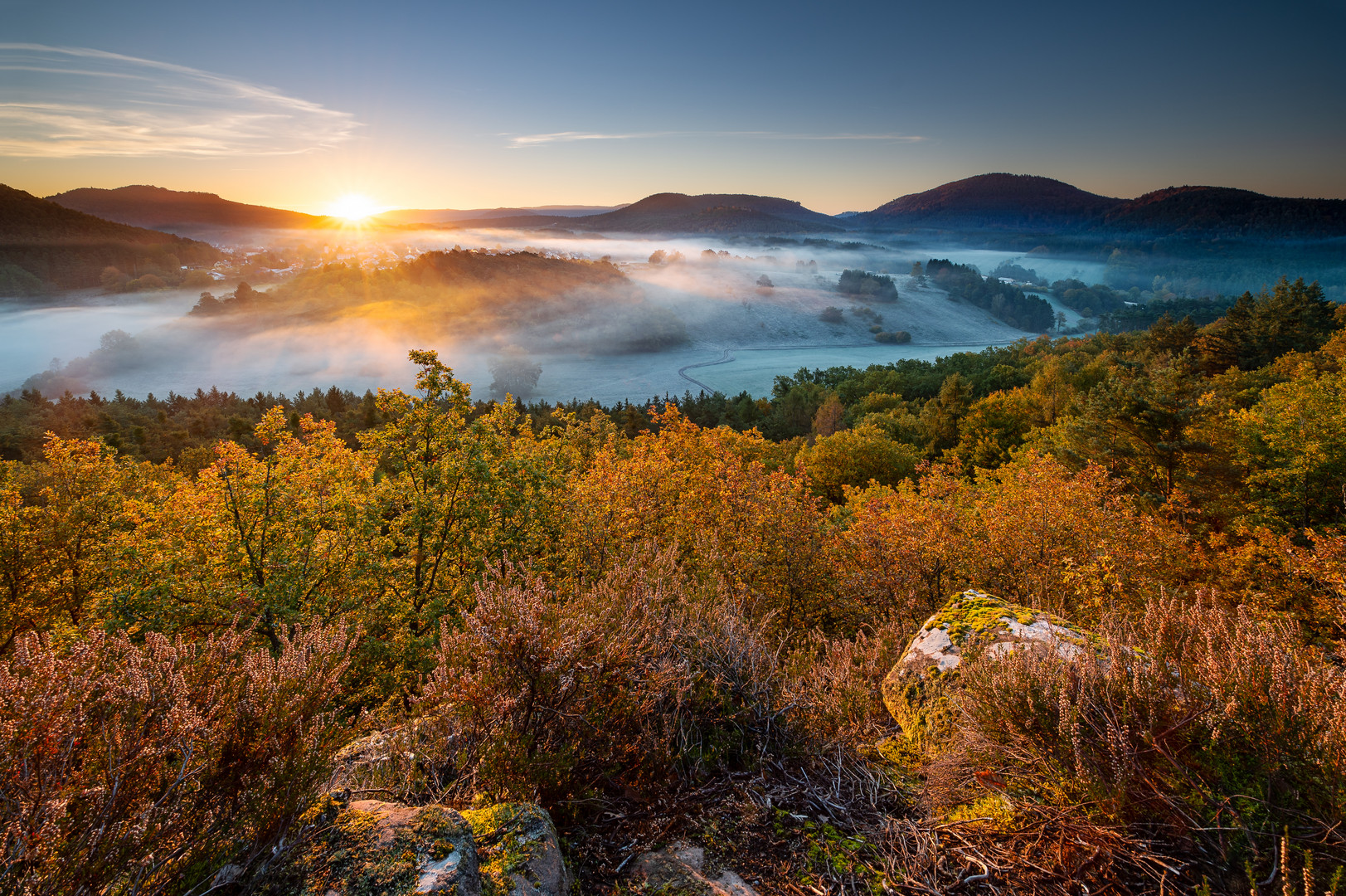 Herbstliches Gestrüpp